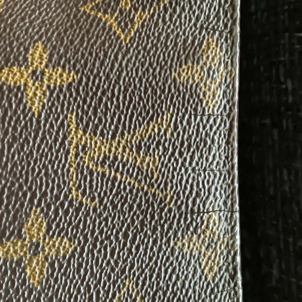 Used Louis Vuitton loop bag